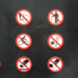 Strict rules in HK
